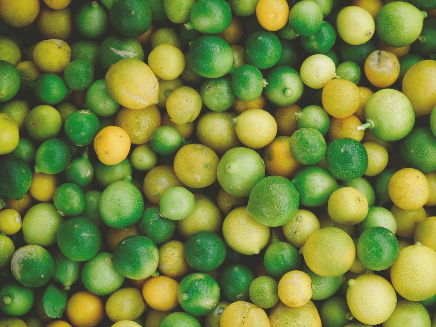 روش‌های خانگی درمان سوختگی و جای زخم