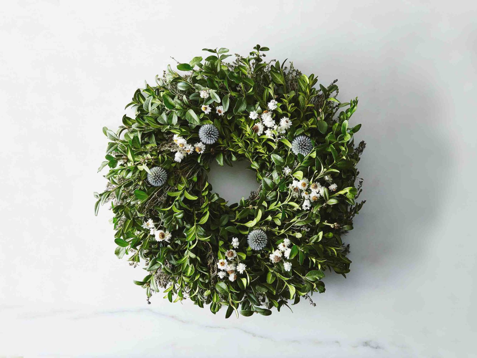 تاثیرات گیاه مورد در درمان آفت دهان